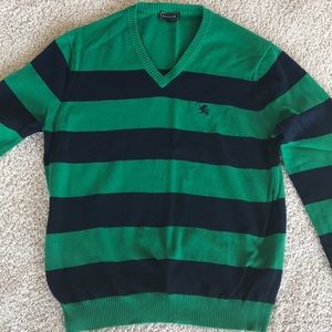 Express V-Neck Sweater